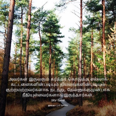 Picture 03 - லூக்கா 1:6 TAMIRV - அவர்கள் இருவரும் - Bible Verse Picture