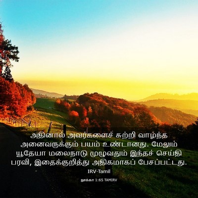 Picture 03 - லூக்கா 1:65 TAMIRV - அதினால் அவர்களைச் - Bible Verse Picture