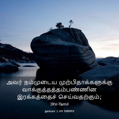 Picture 03 - லூக்கா 1:69 TAMIRV - அவர் நம்முடைய - Bible Verse Picture