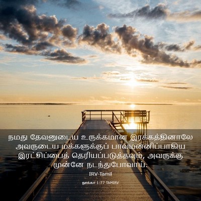 Picture 03 - லூக்கா 1:77 TAMIRV - நமது தேவனுடைய - Bible Verse Picture