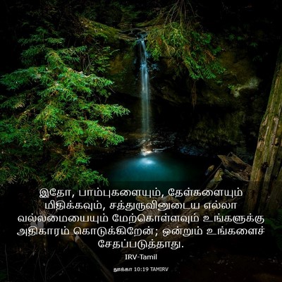 Picture 03 - லூக்கா 10:19 TAMIRV - இதோ, - Bible Verse Picture