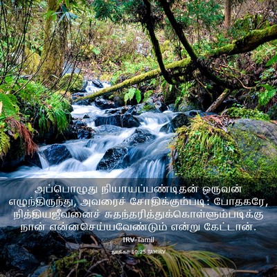Picture 03 - லூக்கா 10:25 TAMIRV - அப்பொழுது - Bible Verse Picture