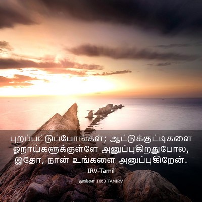 Picture 03 - லூக்கா 10:3 TAMIRV -  - Bible Verse Picture