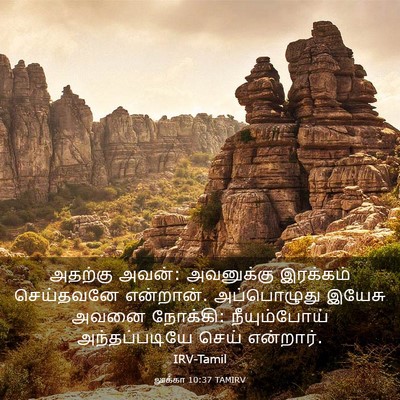 Picture 03 - லூக்கா 10:37 TAMIRV - அதற்கு அவன்: - Bible Verse Picture