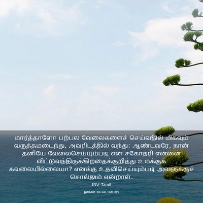 Picture 03 - லூக்கா 10:40 TAMIRV - மார்த்தாளோ பற்பல - Bible Verse Picture