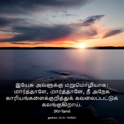 Picture 03 - லூக்கா 10:41 TAMIRV - இயேசு அவளுக்கு - Bible Verse Picture