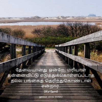 Picture 03 - லூக்கா 10:42 TAMIRV - தேவையானது ஒன்றே, - Bible Verse Picture