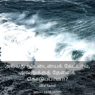 Picture 03 - லூக்கா 11:12 TAMIRV - அல்லது முட்டையைக் - Bible Verse Picture