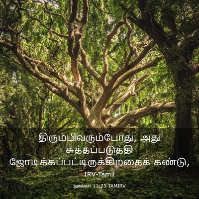 Picture 03 - லூக்கா 11:25 TAMIRV -  - Bible Verse Picture