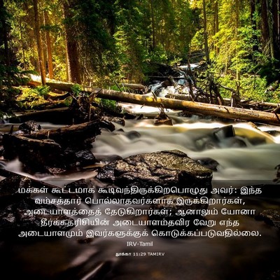 Picture 03 - லூக்கா 11:29 TAMIRV - மக்கள் கூட்டமாக - Bible Verse Picture