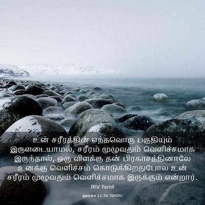 Picture 03 - லூக்கா 11:36 TAMIRV - உன் சரீரத்தின் - Bible Verse Picture