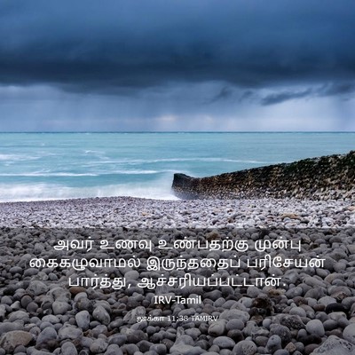 Picture 03 - லூக்கா 11:38 TAMIRV - அவர் உணவு - Bible Verse Picture