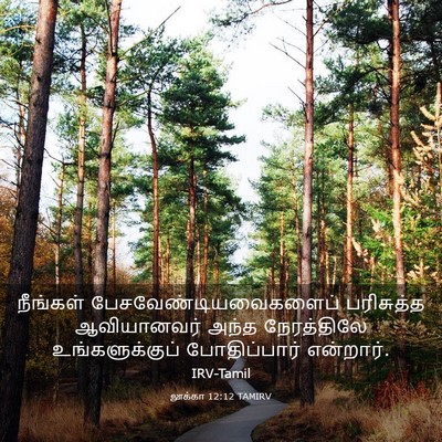 Picture 03 - லூக்கா 12:12 TAMIRV - நீங்கள் - Bible Verse Picture