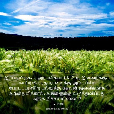 Picture 03 - லூக்கா 12:28 TAMIRV - இப்படியிருக்க, - Bible Verse Picture