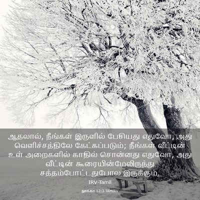 Picture 03 - லூக்கா 12:3 TAMIRV - ஆதலால், நீங்கள் - Bible Verse Picture