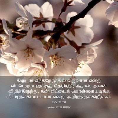 Picture 03 - லூக்கா 12:39 TAMIRV - திருடன் - Bible Verse Picture