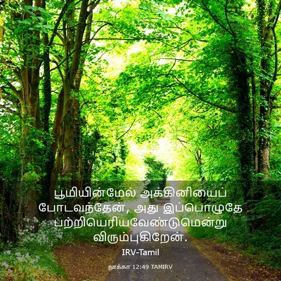Picture 03 - லூக்கா 12:49 TAMIRV - பூமியின்மேல் - Bible Verse Picture