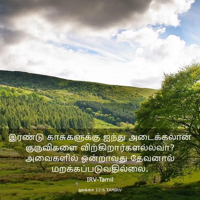 Picture 03 - லூக்கா 12:6 TAMIRV - இரண்டு - Bible Verse Picture