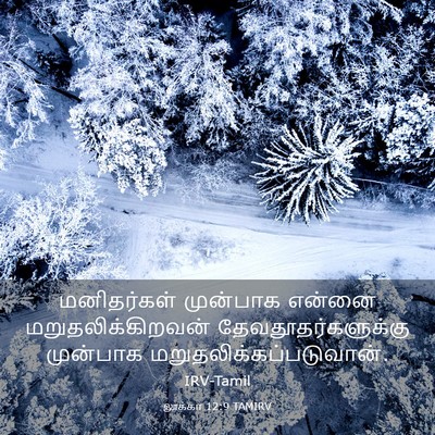Picture 03 - லூக்கா 12:9 TAMIRV - மனிதர்கள் முன்பாக - Bible Verse Picture