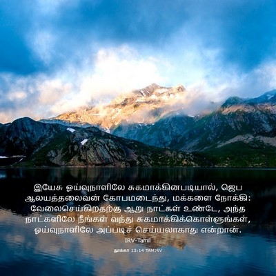 Picture 03 - லூக்கா 13:14 TAMIRV - இயேசு ஓய்வுநாளிலே - Bible Verse Picture