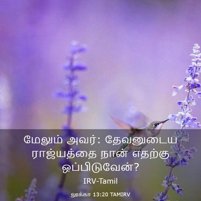 Picture 03 - லூக்கா 13:20 TAMIRV - மேலும் அவர்: - Bible Verse Picture