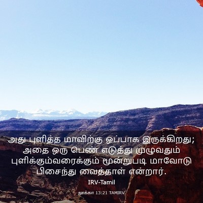 Picture 03 - லூக்கா 13:21 TAMIRV - அது புளித்த - Bible Verse Picture