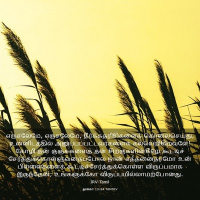 Picture 03 - லூக்கா 13:34 TAMIRV - எருசலேமே, - Bible Verse Picture