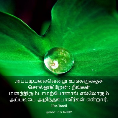 Picture 03 - லூக்கா 13:5 TAMIRV - அப்படியல்லவென்று - Bible Verse Picture