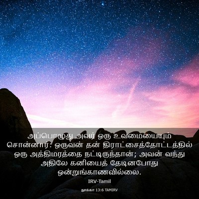 Picture 03 - லூக்கா 13:6 TAMIRV - அப்பொழுது அவர் - Bible Verse Picture