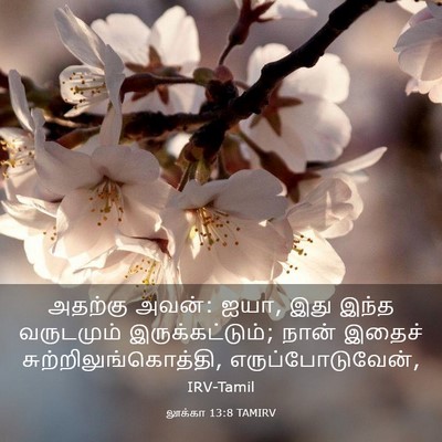 Picture 03 - லூக்கா 13:8 TAMIRV - அதற்கு அவன்: ஐயா, - Bible Verse Picture