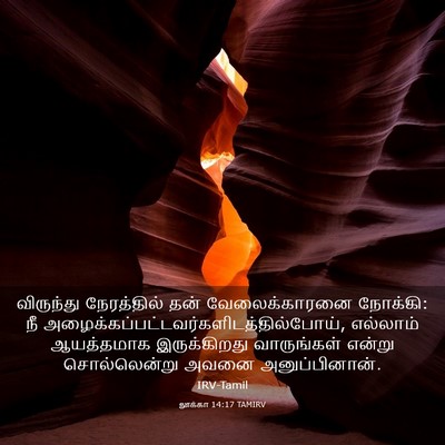 Picture 03 - லூக்கா 14:17 TAMIRV - விருந்து - Bible Verse Picture