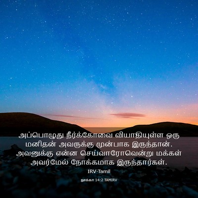Picture 03 - லூக்கா 14:2 TAMIRV - அப்பொழுது - Bible Verse Picture