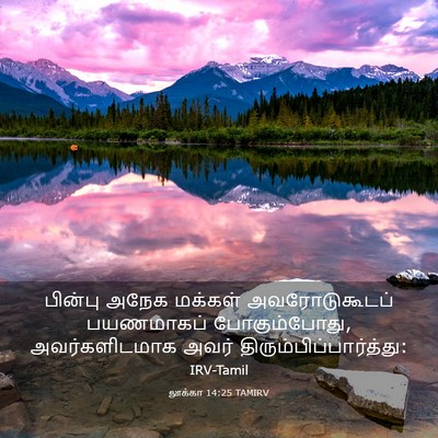 Picture 03 - லூக்கா 14:25 TAMIRV - பின்பு அநேக - Bible Verse Picture