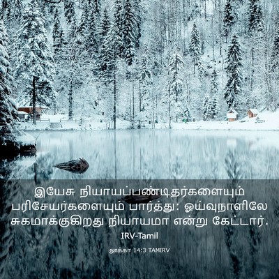 Picture 03 - லூக்கா 14:3 TAMIRV - இயேசு - Bible Verse Picture