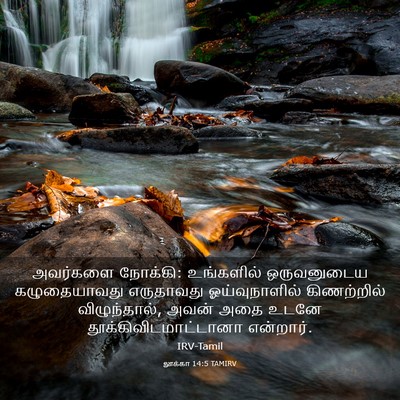 Picture 03 - லூக்கா 14:5 TAMIRV - அவர்களை நோக்கி: - Bible Verse Picture