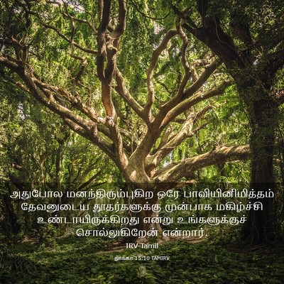 Picture 03 - லூக்கா 15:10 TAMIRV - அதுபோல - Bible Verse Picture