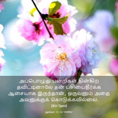 Picture 03 - லூக்கா 15:16 TAMIRV - அப்பொழுது - Bible Verse Picture