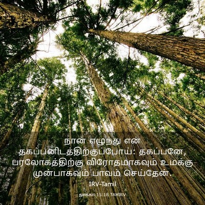 Picture 03 - லூக்கா 15:18 TAMIRV - நான் எழுந்து என் - Bible Verse Picture