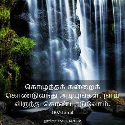 Picture 03 - லூக்கா 15:23 TAMIRV - கொழுத்தக் கன்றைக் - Bible Verse Picture