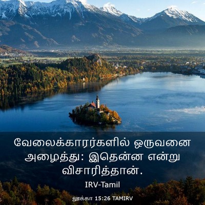 Picture 03 - லூக்கா 15:26 TAMIRV - வேலைக்காரர்களில் - Bible Verse Picture