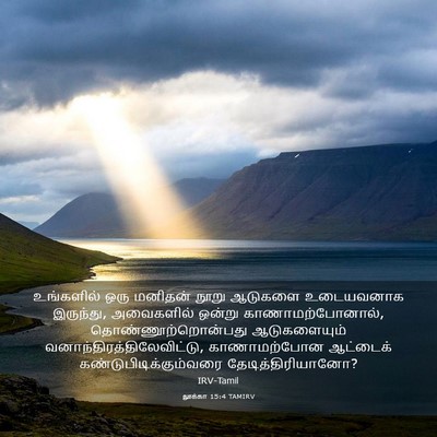 Picture 03 - லூக்கா 15:4 TAMIRV - உங்களில் ஒரு - Bible Verse Picture
