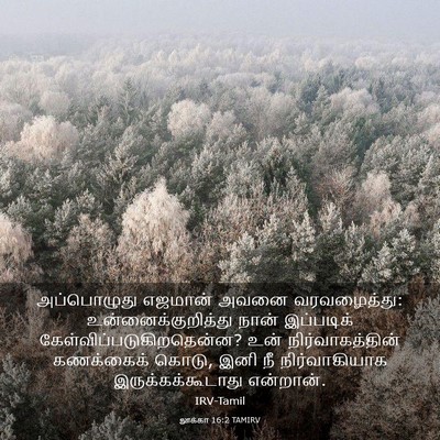 Picture 03 - லூக்கா 16:2 TAMIRV - அப்பொழுது எஜமான் - Bible Verse Picture