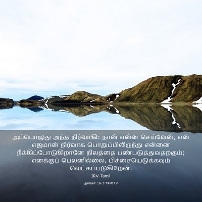 Picture 03 - லூக்கா 16:3 TAMIRV - அப்பொழுது அந்த - Bible Verse Picture