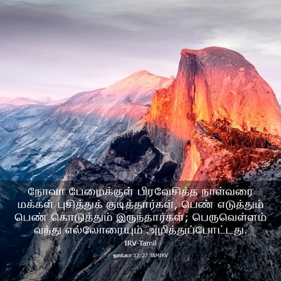 Picture 03 - லூக்கா 17:27 TAMIRV - நோவா பேழைக்குள் - Bible Verse Picture