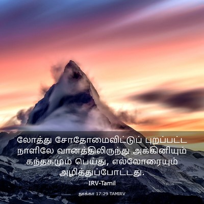 Picture 03 - லூக்கா 17:29 TAMIRV - லோத்து - Bible Verse Picture