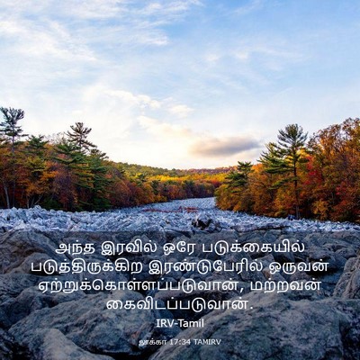 Picture 03 - லூக்கா 17:34 TAMIRV - அந்த இரவில் ஒரே - Bible Verse Picture