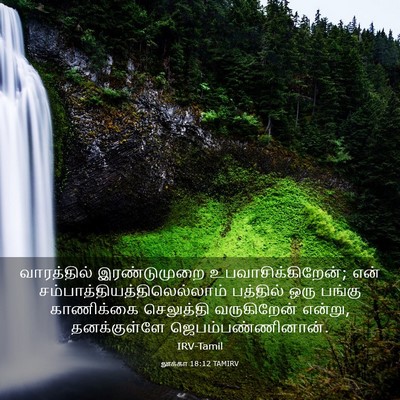Picture 03 - லூக்கா 18:12 TAMIRV - வாரத்தில் - Bible Verse Picture