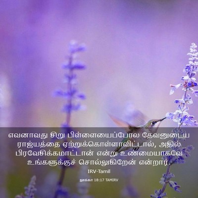 Picture 03 - லூக்கா 18:17 TAMIRV - எவனாவது சிறு - Bible Verse Picture