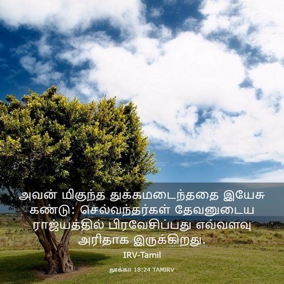 Picture 03 - லூக்கா 18:24 TAMIRV - அவன் மிகுந்த - Bible Verse Picture