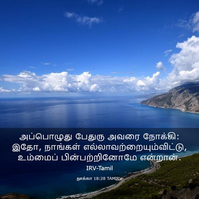 Picture 03 - லூக்கா 18:28 TAMIRV - அப்பொழுது பேதுரு - Bible Verse Picture